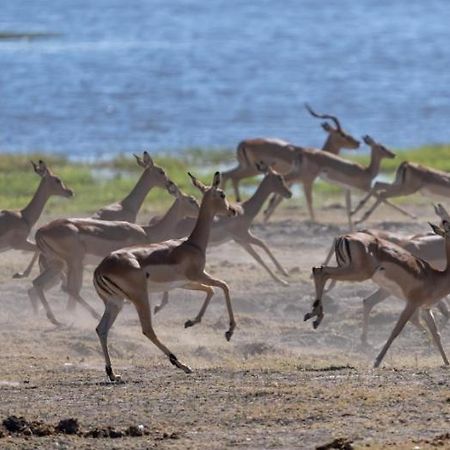 Hotel Jackalberry Chobe Kasane Exterior foto